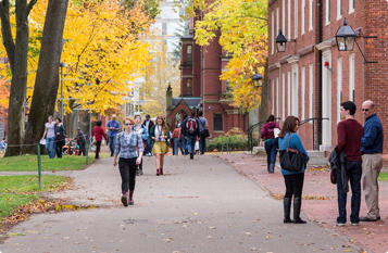 ddos攻击ip软件下载